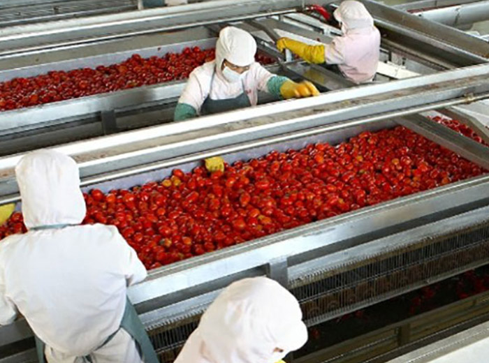 Sunshine Machinery (Shanghai) Co., Ltd.