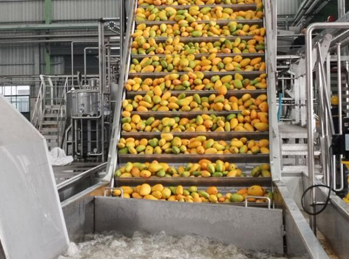 Sunshine Machinery (Shanghai) Co., Ltd.
