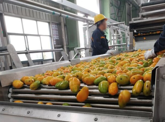 Sunshine Machinery (Shanghai) Co., Ltd.