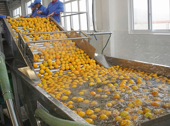Sunshine Machinery (Shanghai) Co., Ltd.
