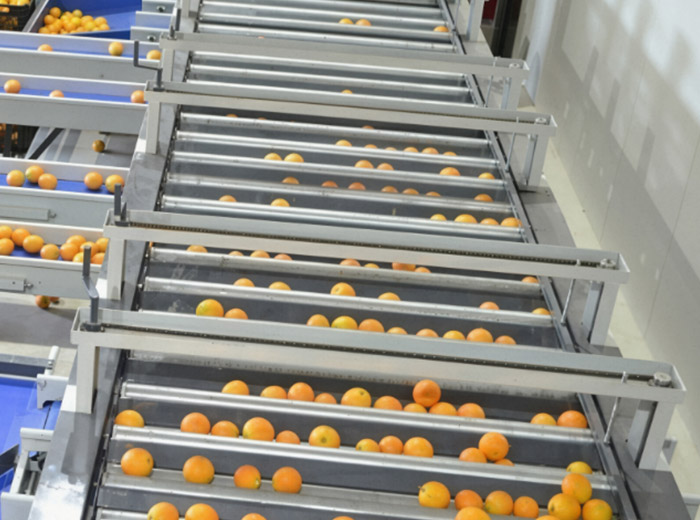 Sunshine Machinery (Shanghai) Co., Ltd.