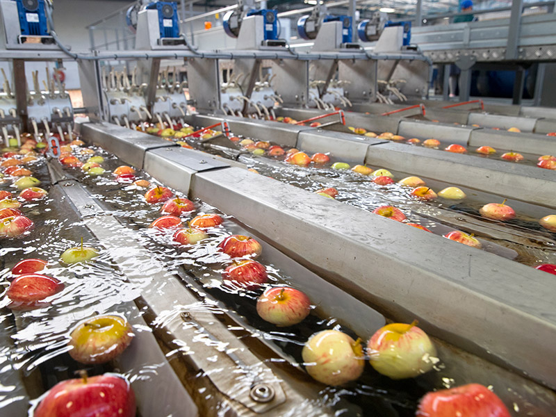 Apple Juice Project
