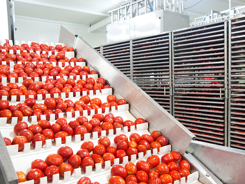 Tomato Juice Project